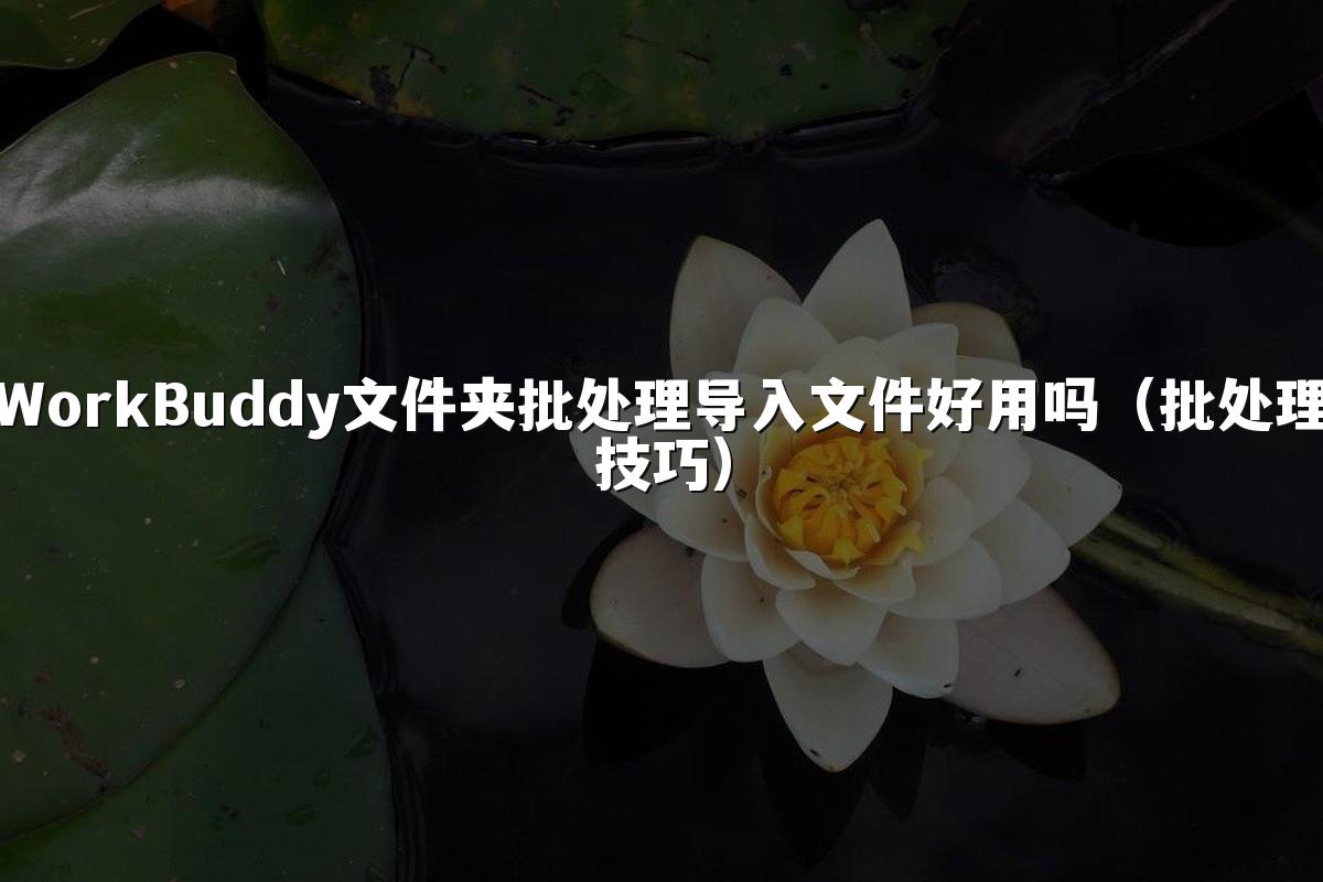 WorkBuddy文件夹批处理导入文件好用吗(批处理技巧)