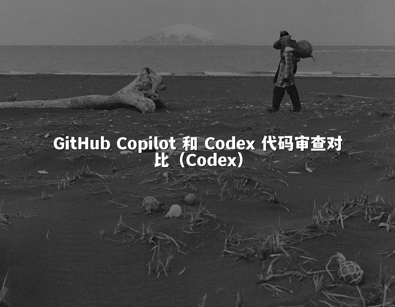 GitHub Copilot 和 Codex 代码审查对比（Codex）