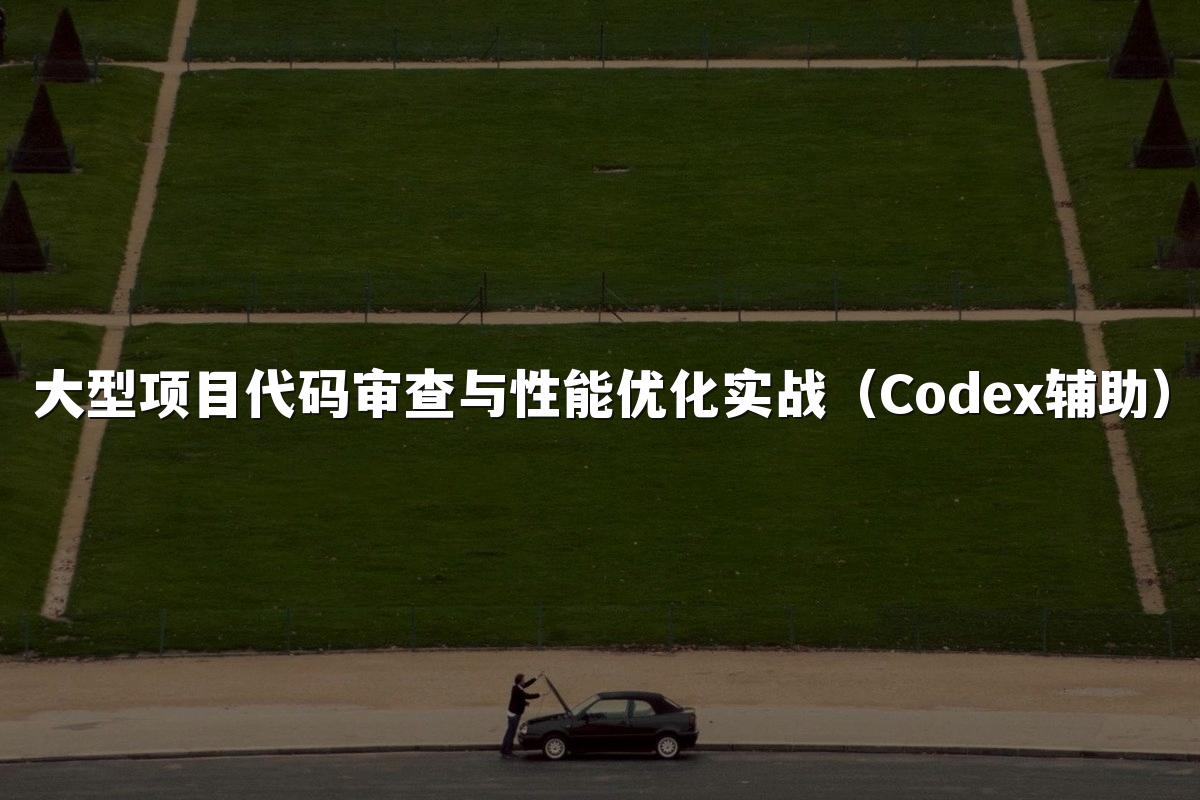大型项目代码审查与性能优化实战（Codex辅助）