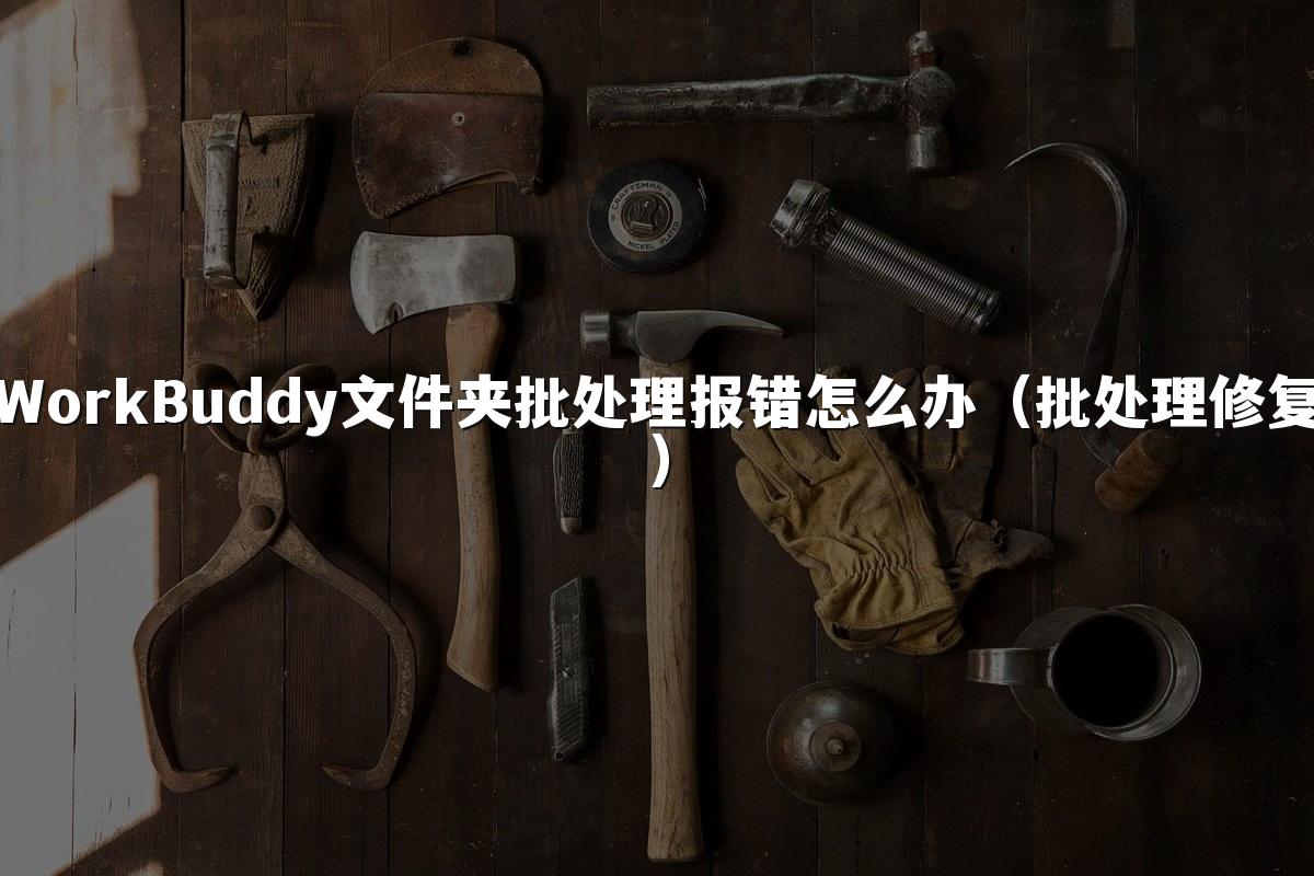 WorkBuddy文件夹批处理报错怎么办（批处理修复）