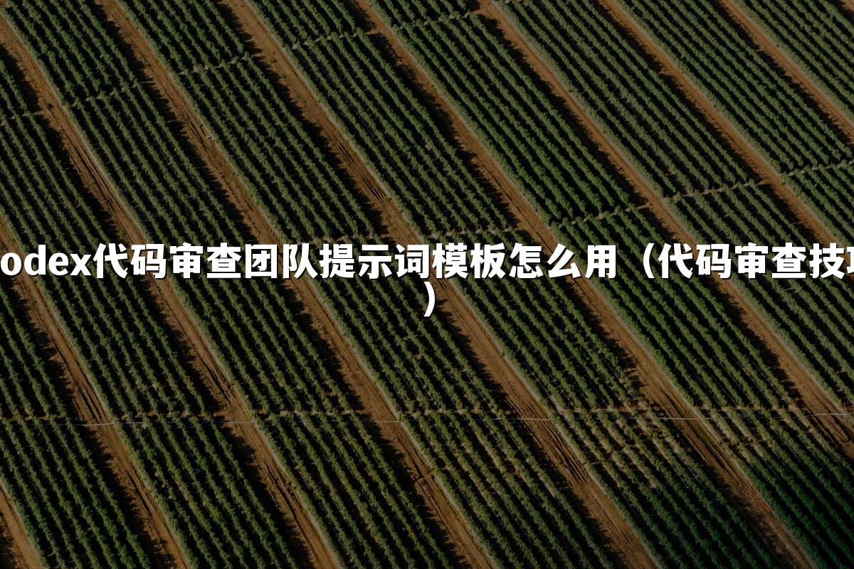 Codex代码审查团队提示词模板怎么用（代码审查技巧）