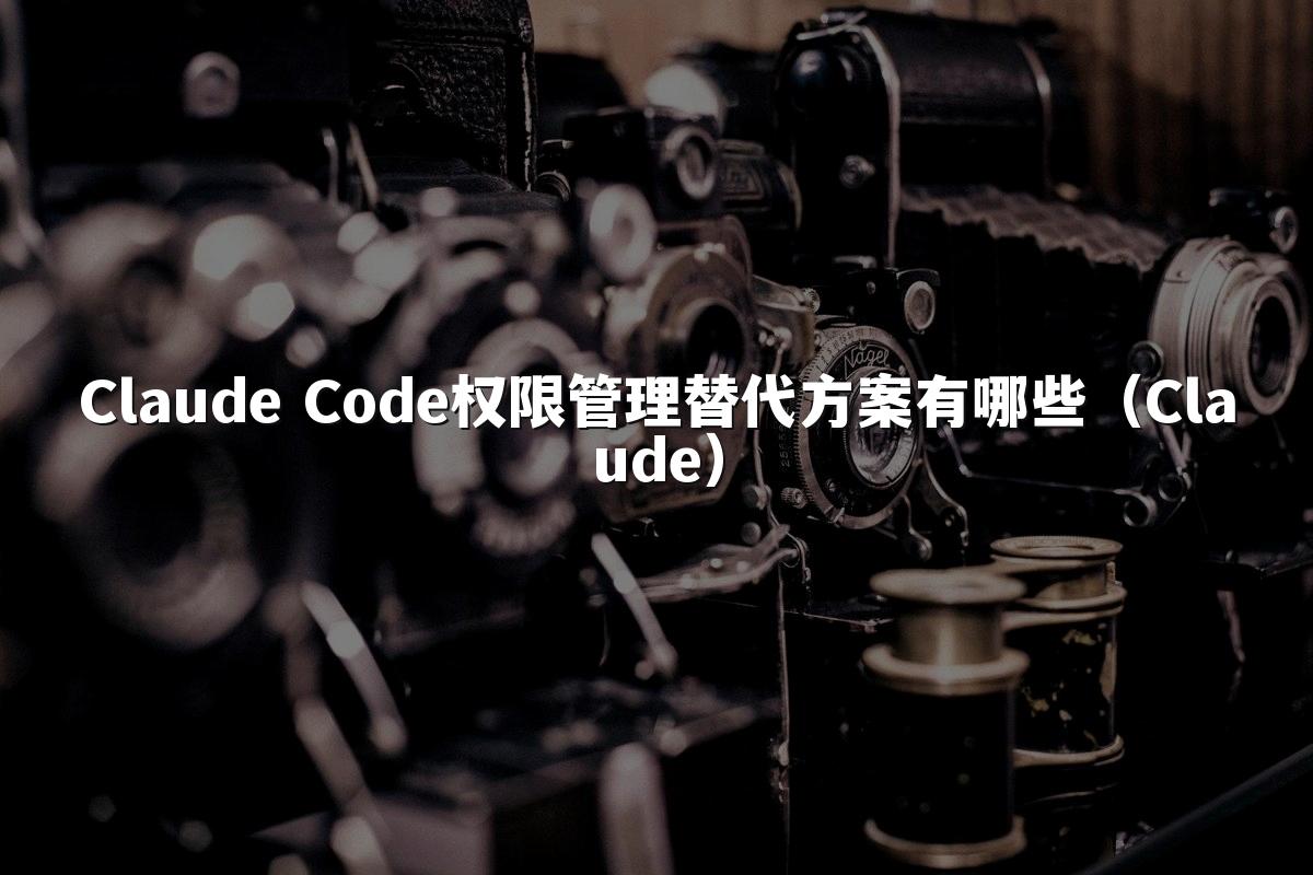 Claude Code权限管理替代方案有哪些(Claude)