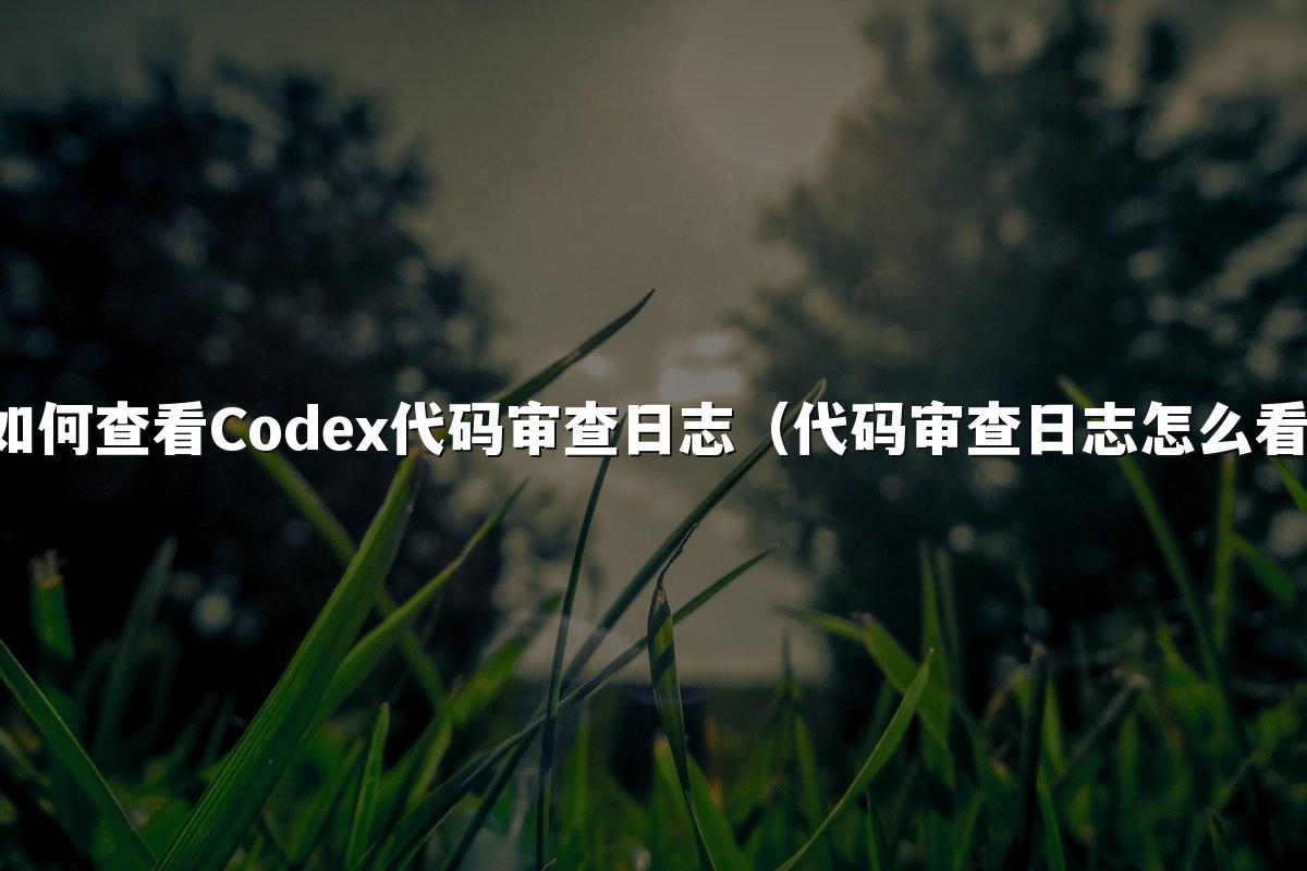 如何查看Codex代码审查日志(代码审查日志怎么看)