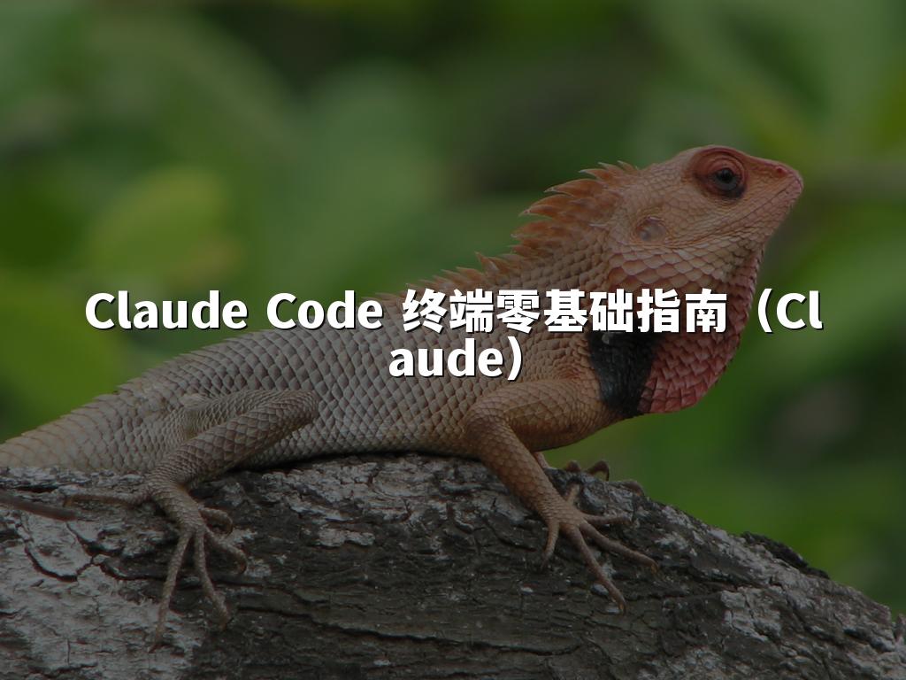 Claude Code 终端零基础指南（Claude）