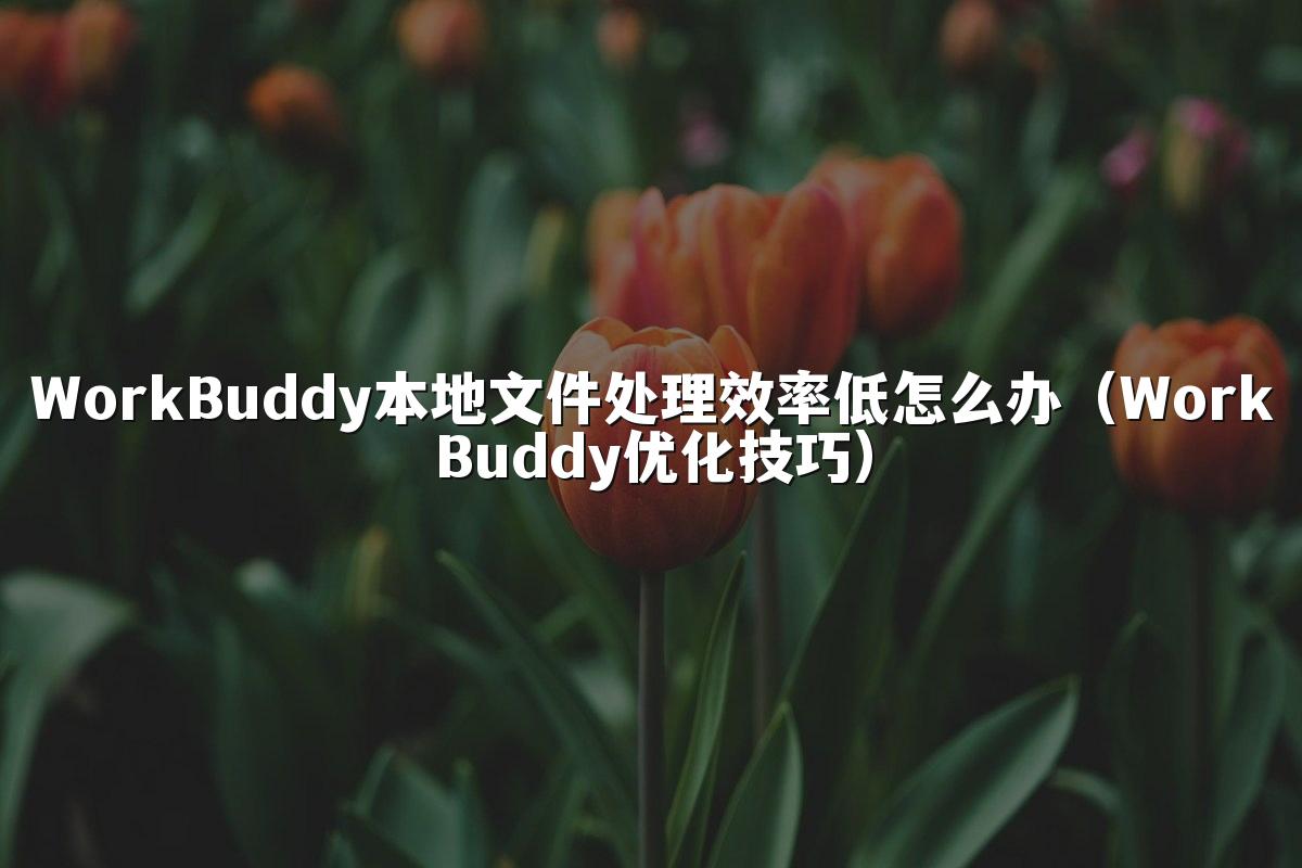 WorkBuddy本地文件处理效率低怎么办(WorkBuddy优化技巧)