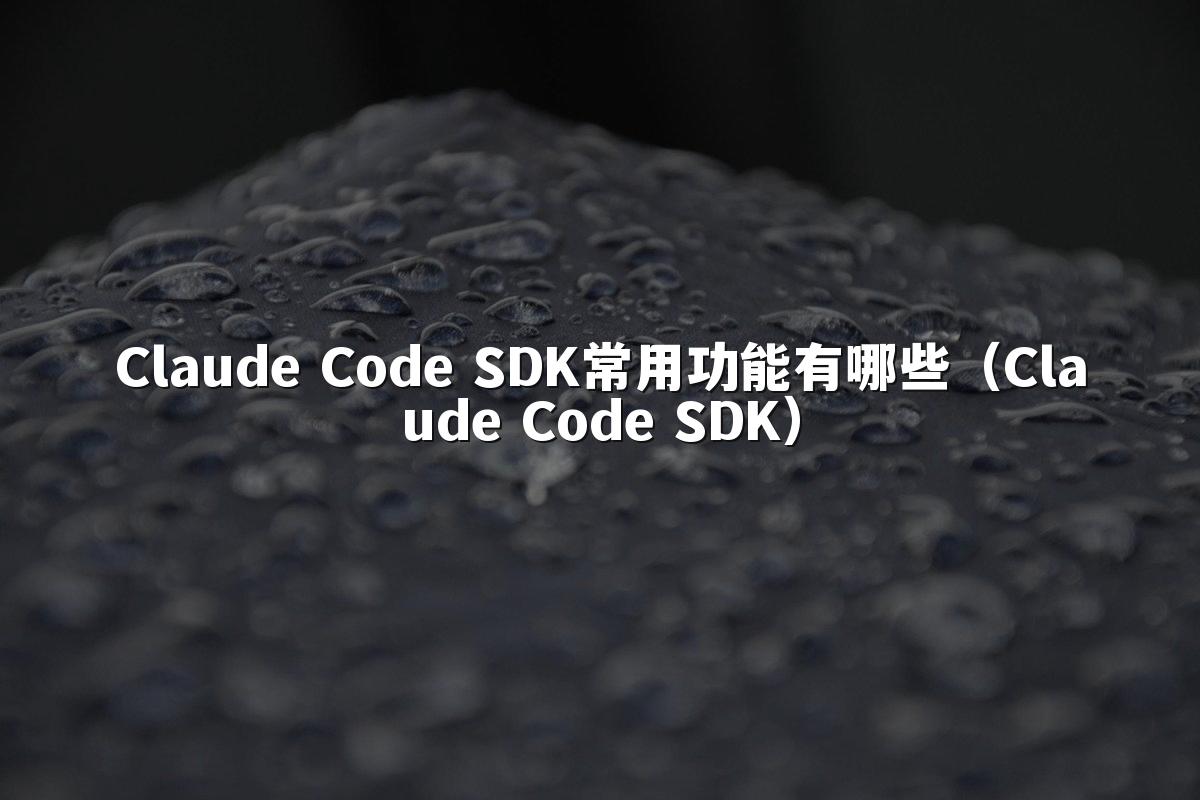 Claude Code SDK常用功能有哪些(Claude Code SDK)