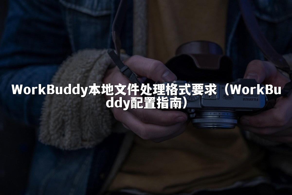 WorkBuddy本地文件处理格式要求(WorkBuddy配置指南)