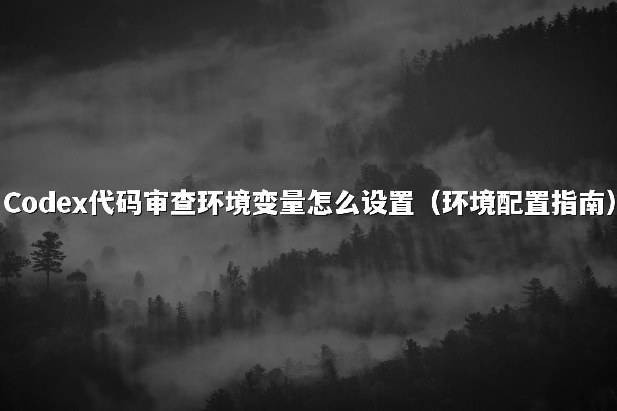 Codex代码审查环境变量怎么设置（环境配置指南）