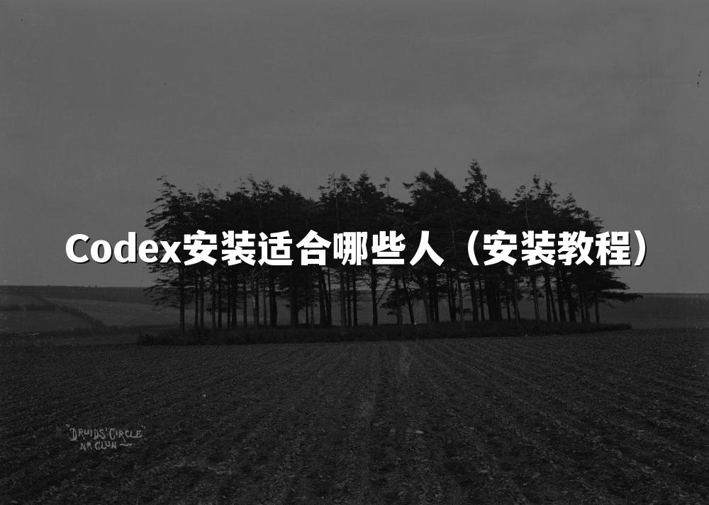 Codex安装适合哪些人（安装教程）
