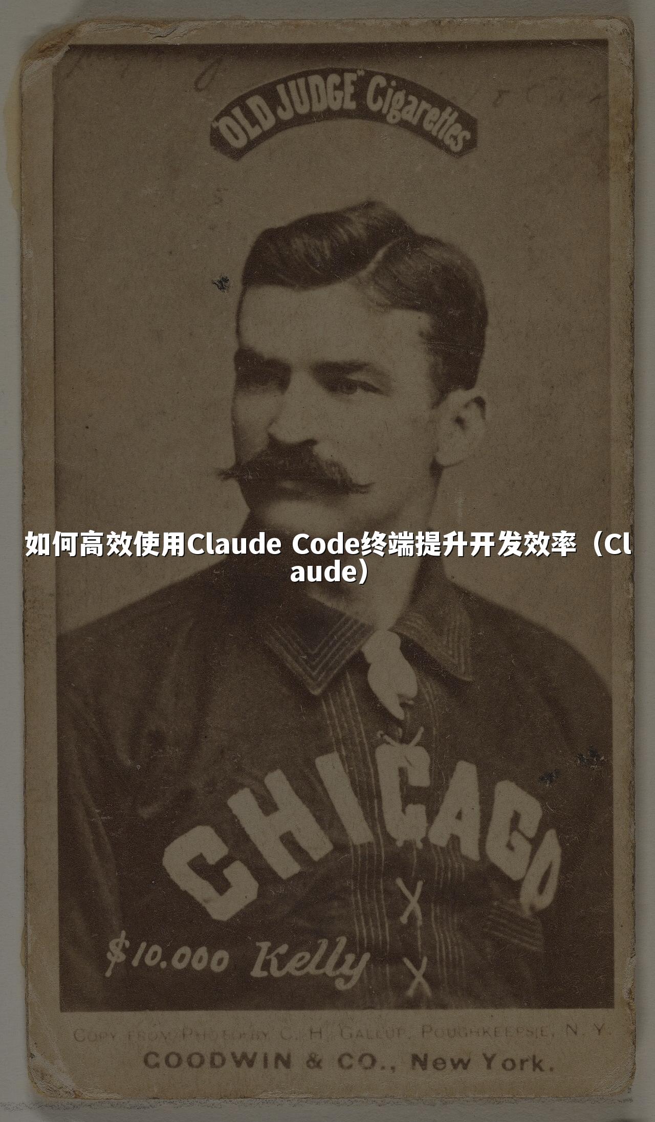 如何高效使用Claude Code终端提升开发效率(Claude)
