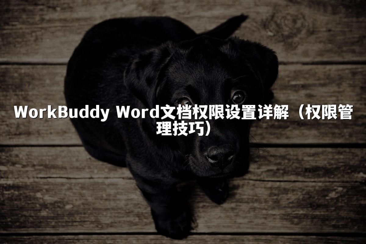 WorkBuddy Word文档权限设置详解(权限管理技巧)