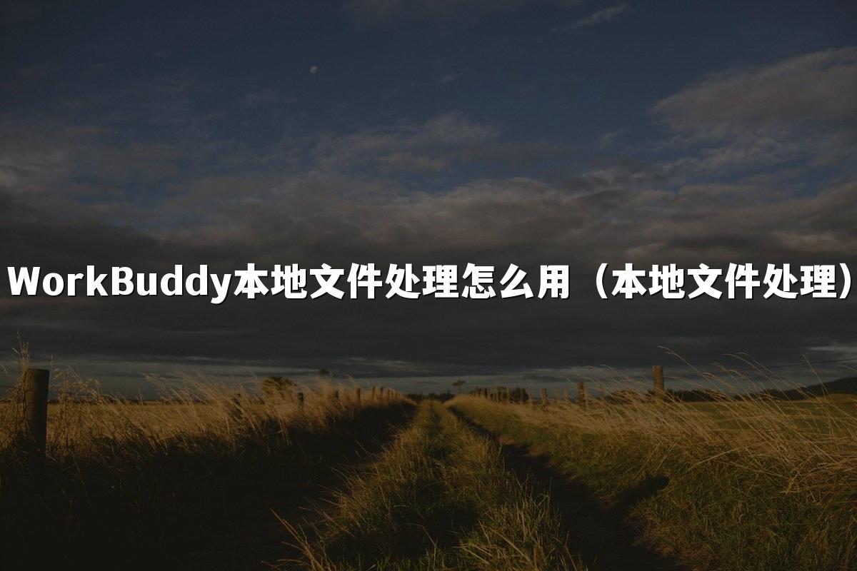 WorkBuddy本地文件处理怎么用(本地文件处理)