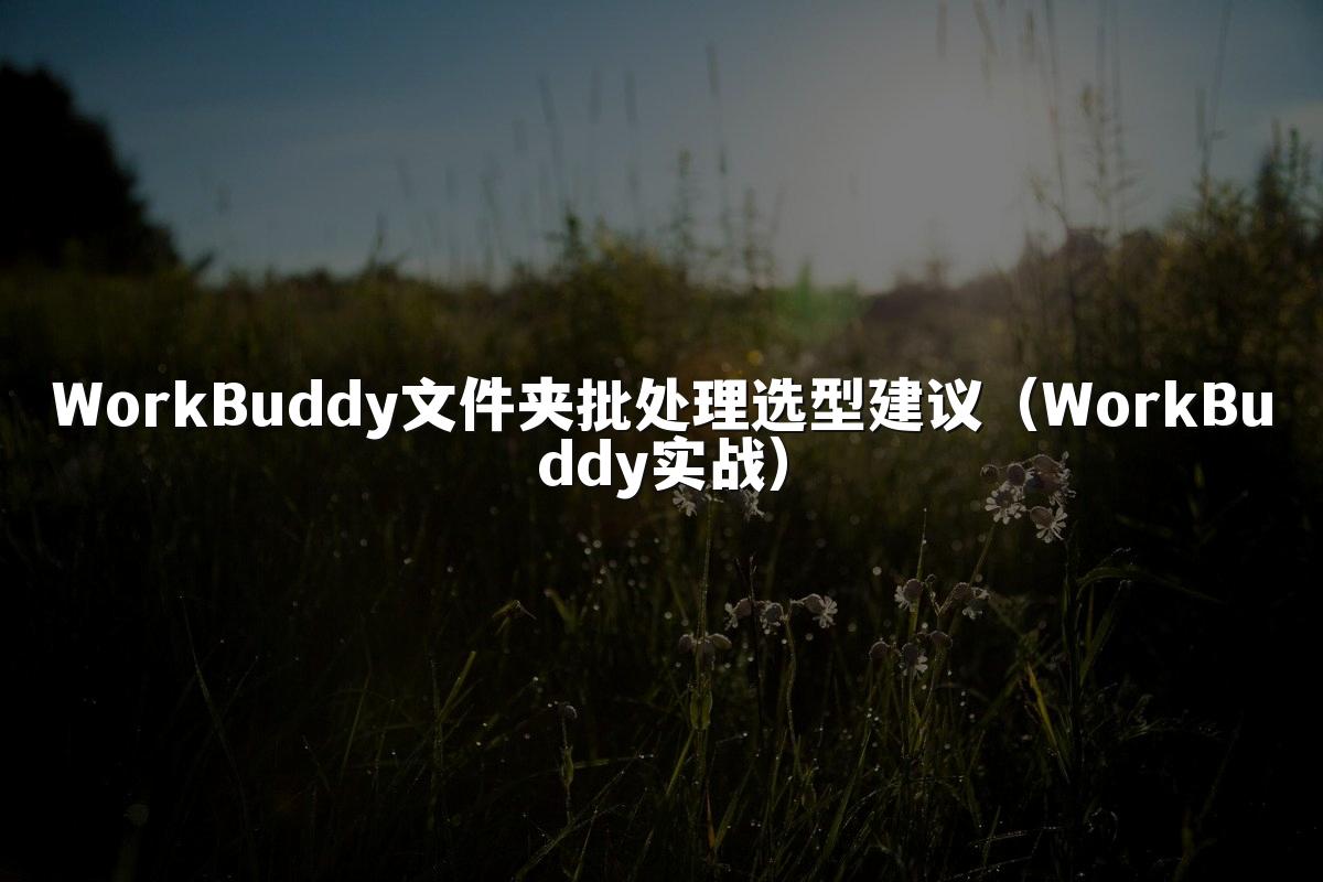 WorkBuddy文件夹批处理选型建议（WorkBuddy实战）