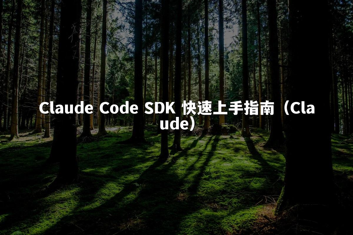 Claude Code SDK 快速上手指南（Claude）
