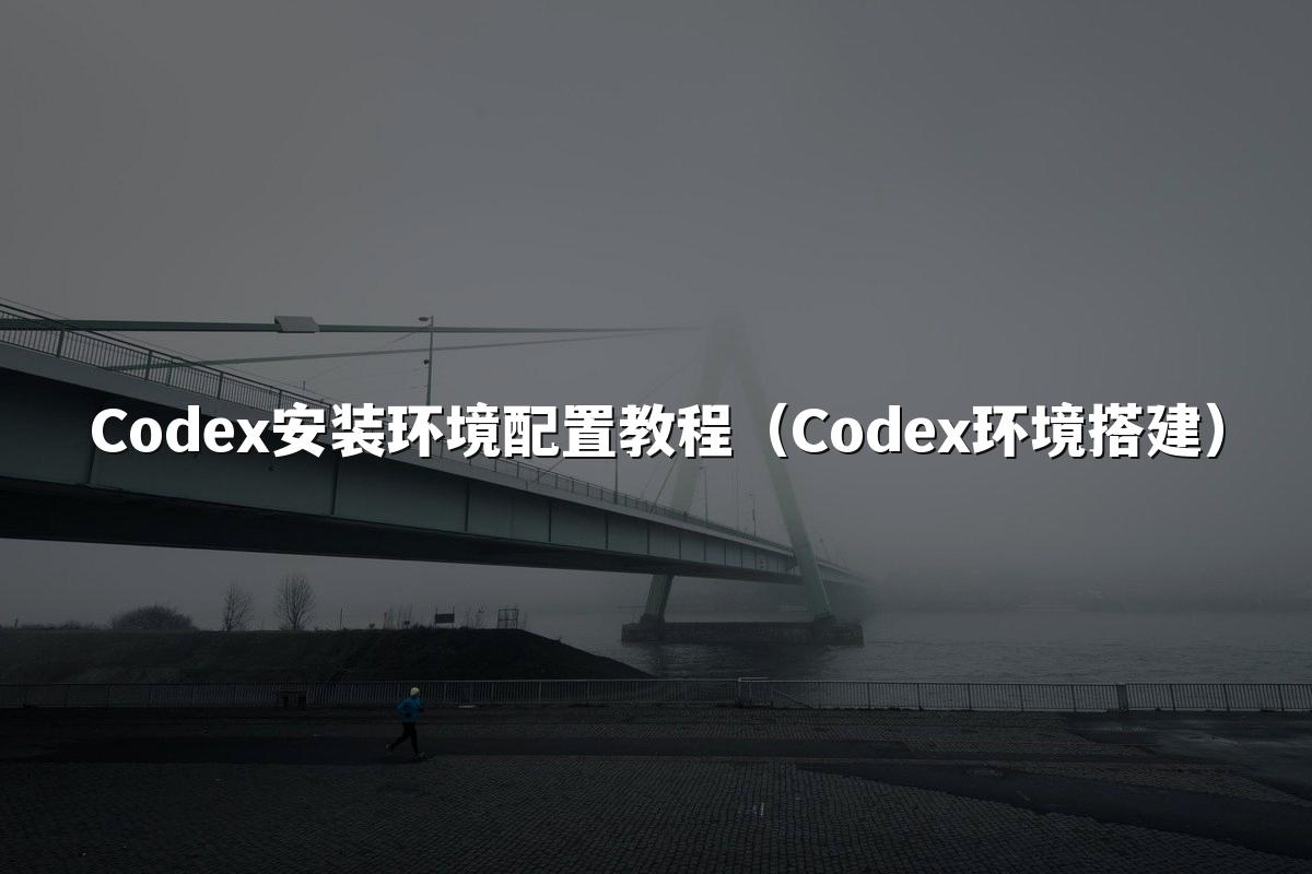 Codex安装环境配置教程（Codex环境搭建）
