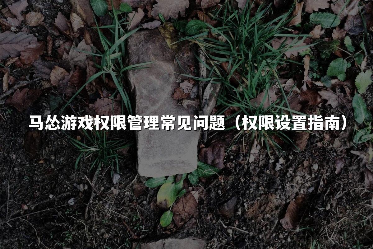 马怂游戏权限管理常见问题（权限设置指南）