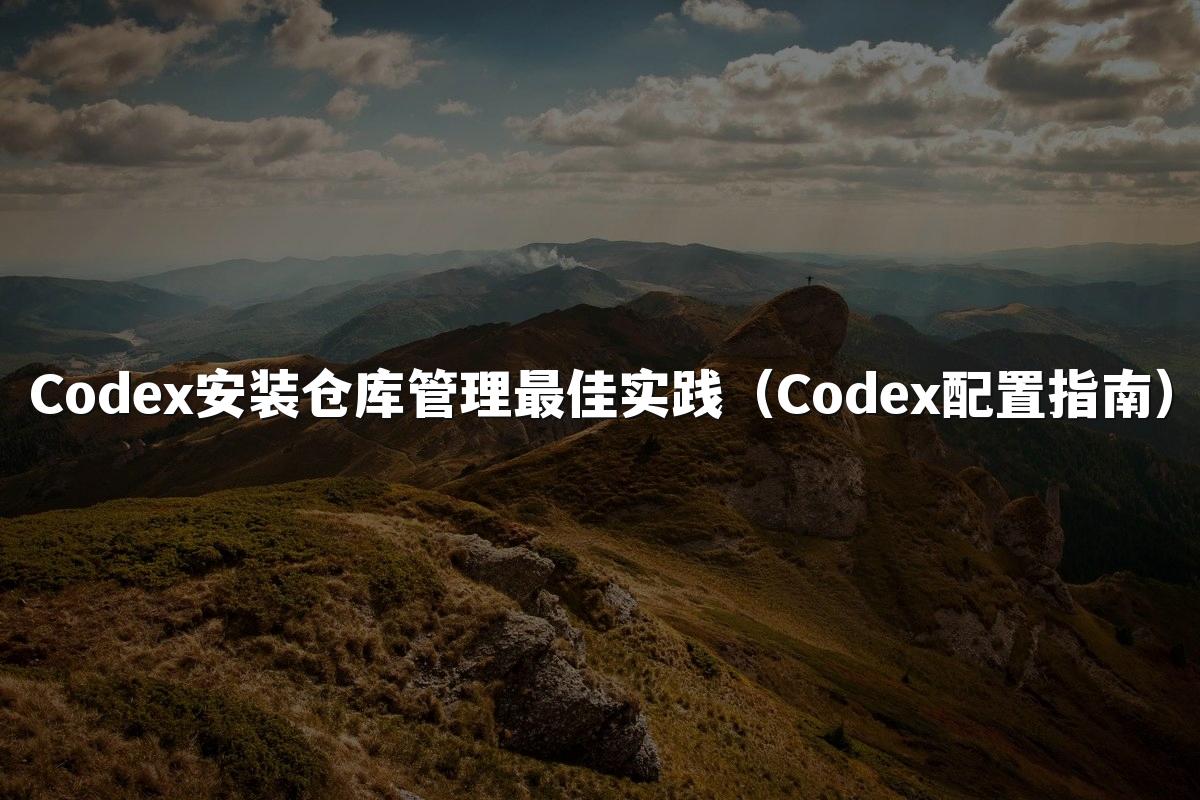 Codex安装仓库管理最佳实践（Codex配置指南）