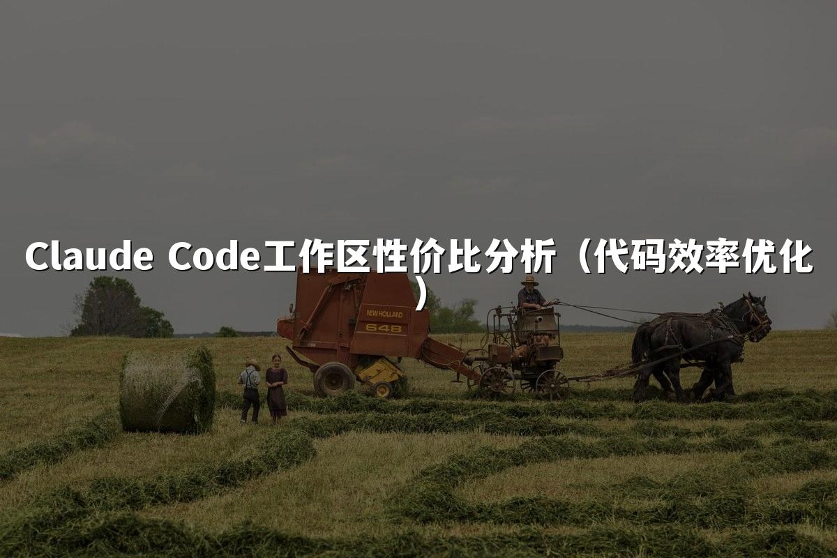 Claude Code工作区性价比分析(代码效率优化)