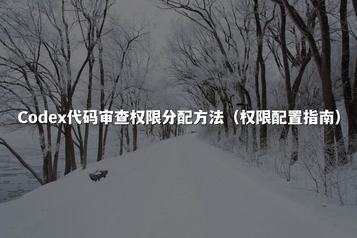 Codex代码审查权限分配方法（权限配置指南）