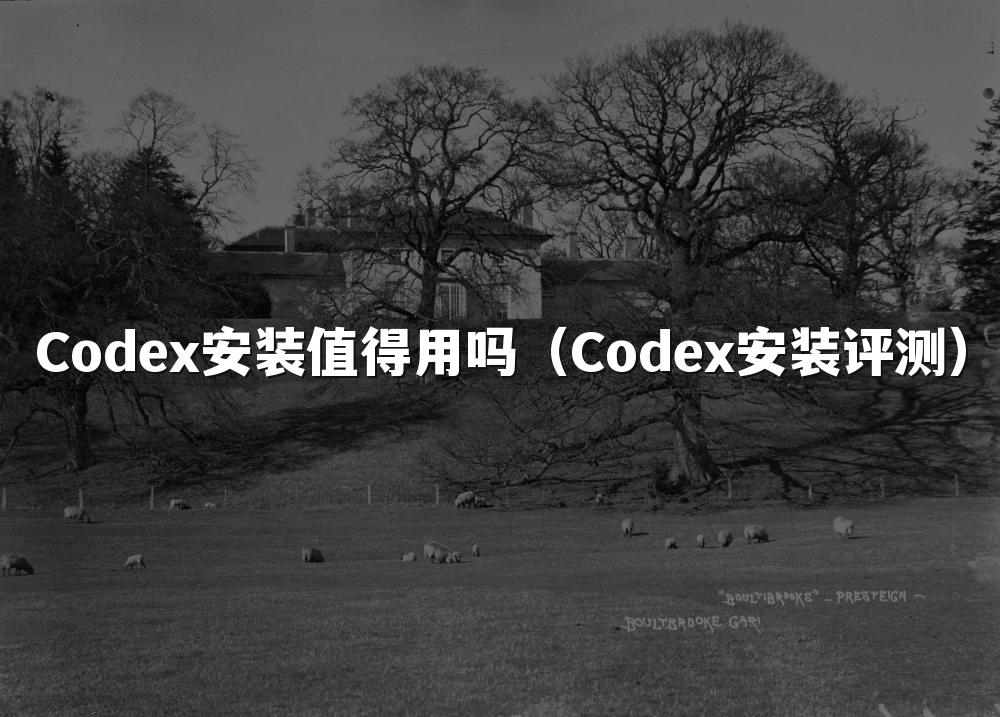 Codex安装值得用吗（Codex安装评测）