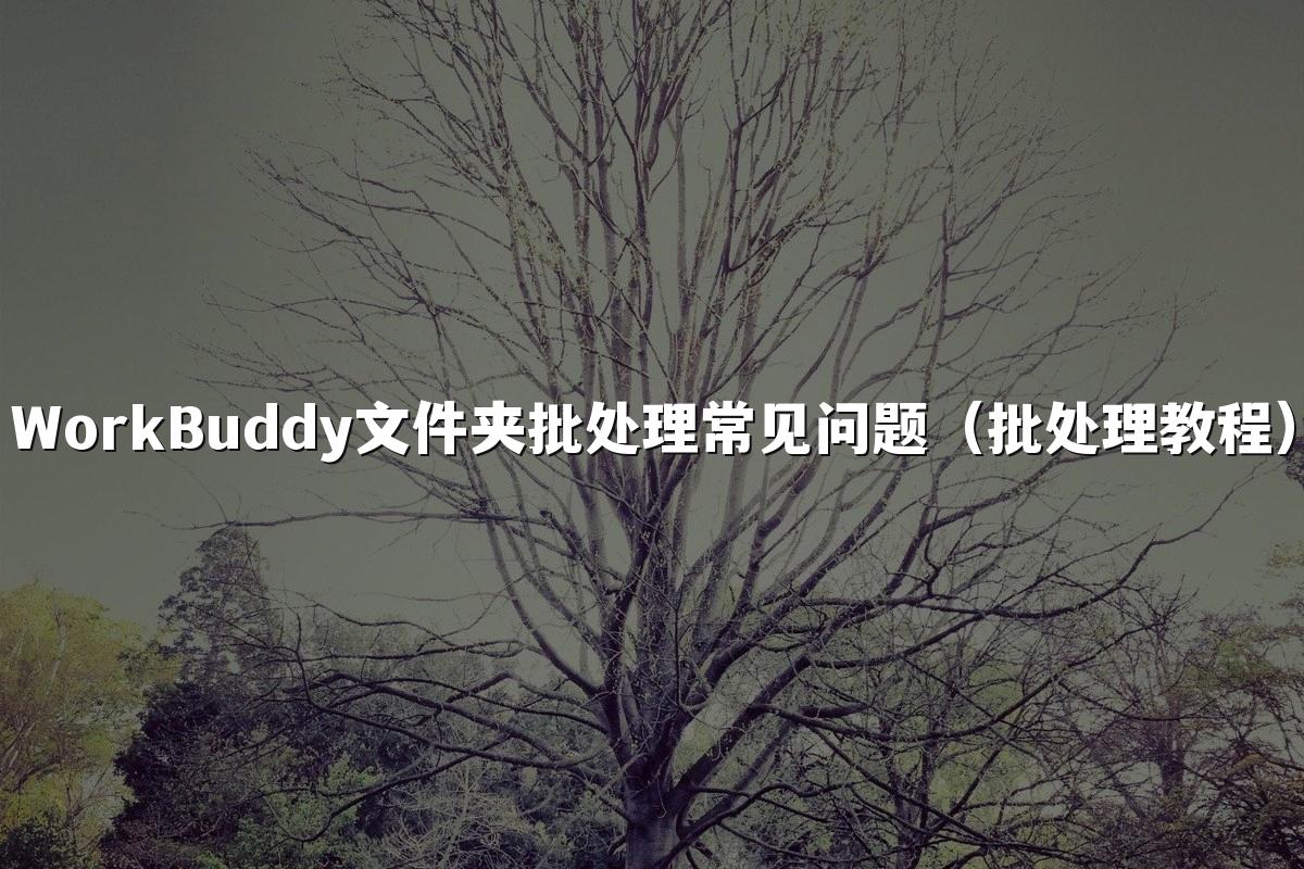 WorkBuddy文件夹批处理常见问题(批处理教程)
