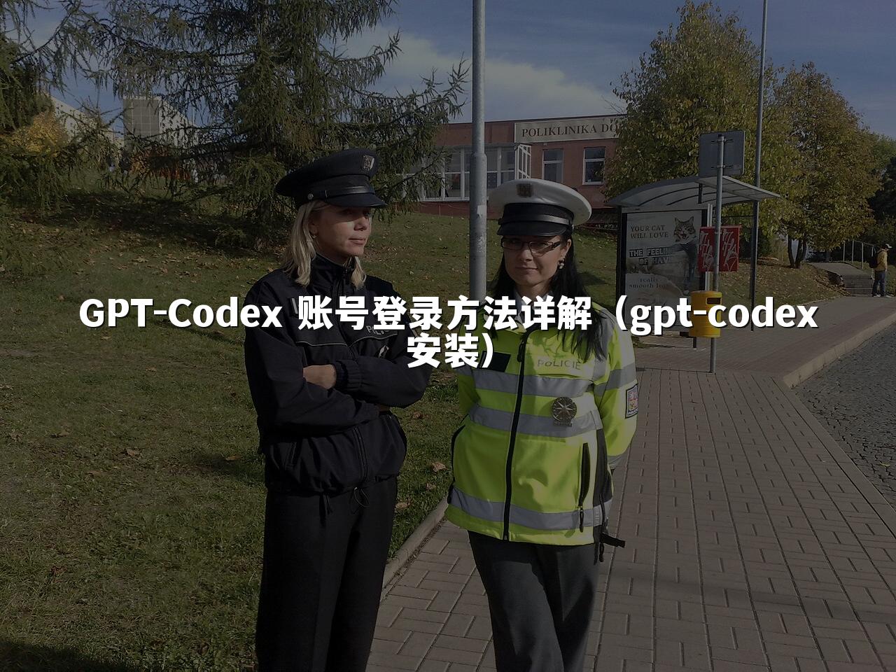 GPT-Codex 账号登录方法详解（gpt-codex安装）