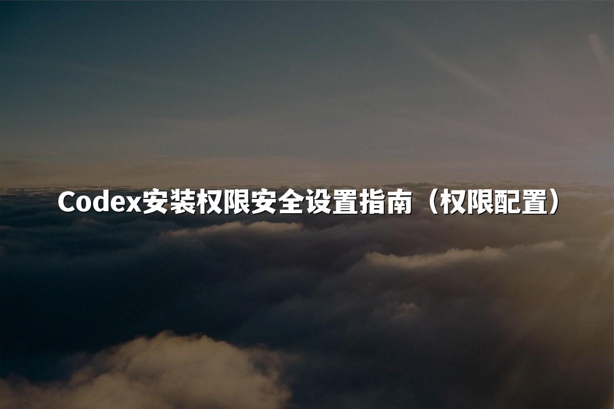 Codex安装权限安全设置指南（权限配置）