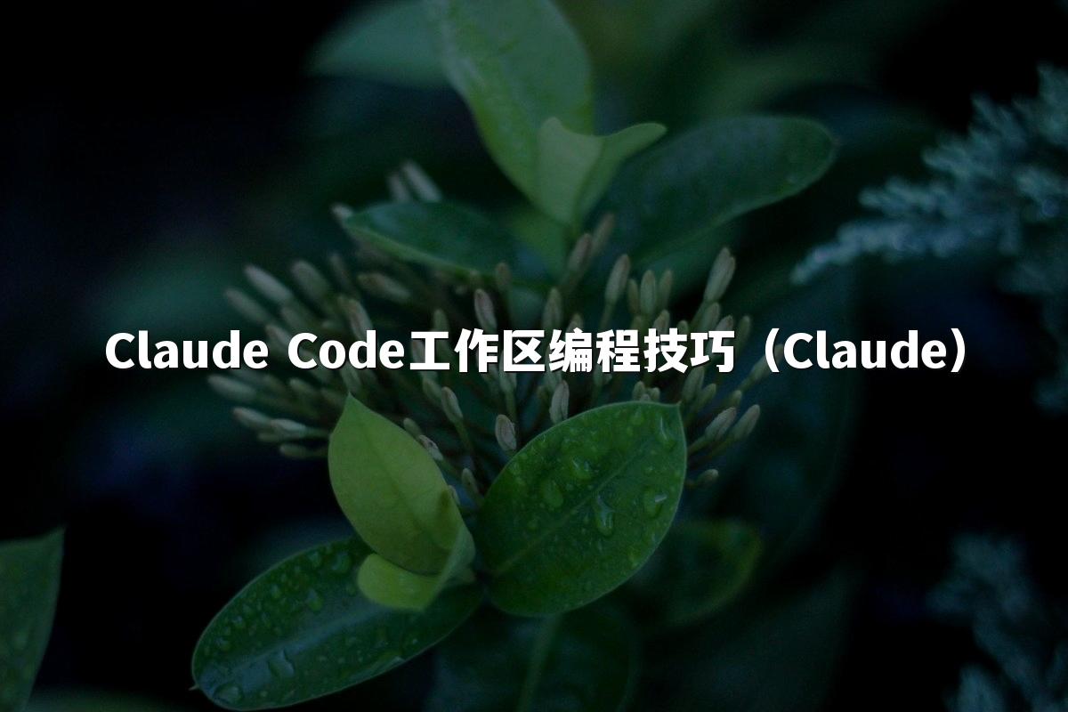 Claude Code工作区编程技巧(Claude)