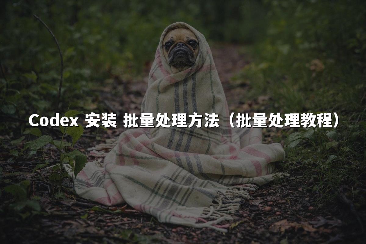 Codex 安装 批量处理方法（批量处理教程）