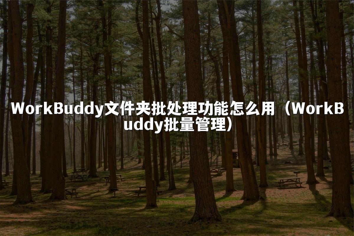 WorkBuddy文件夹批处理功能怎么用(WorkBuddy批量管理)