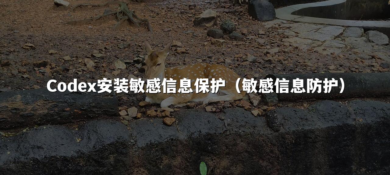 Codex安装敏感信息保护(敏感信息防护)