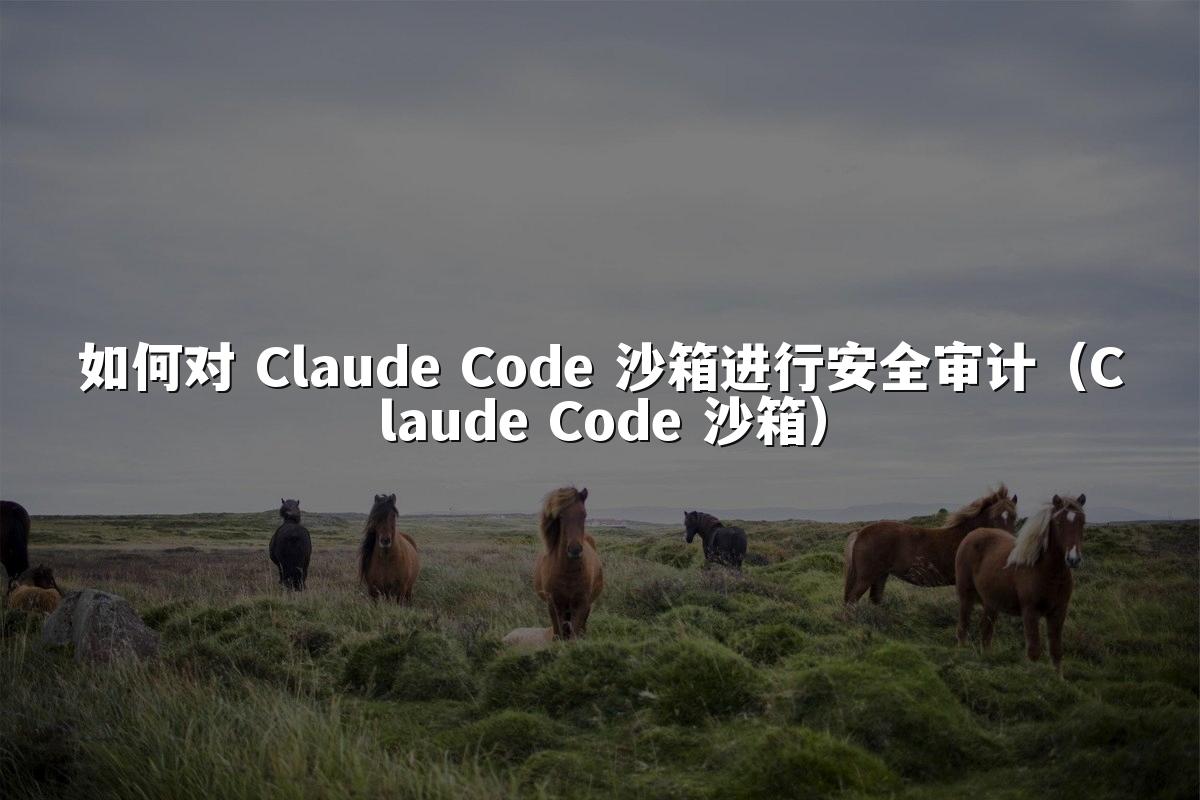 如何对 Claude Code 沙箱进行安全审计(Claude Code 沙箱)