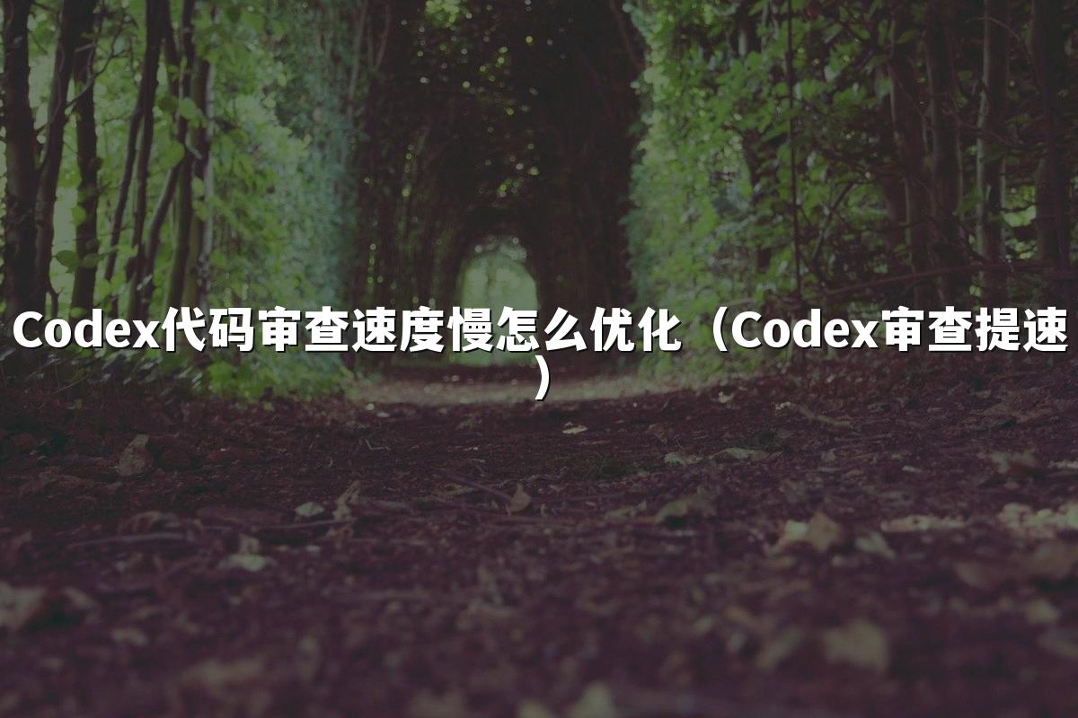 Codex代码审查速度慢怎么优化（Codex审查提速）
