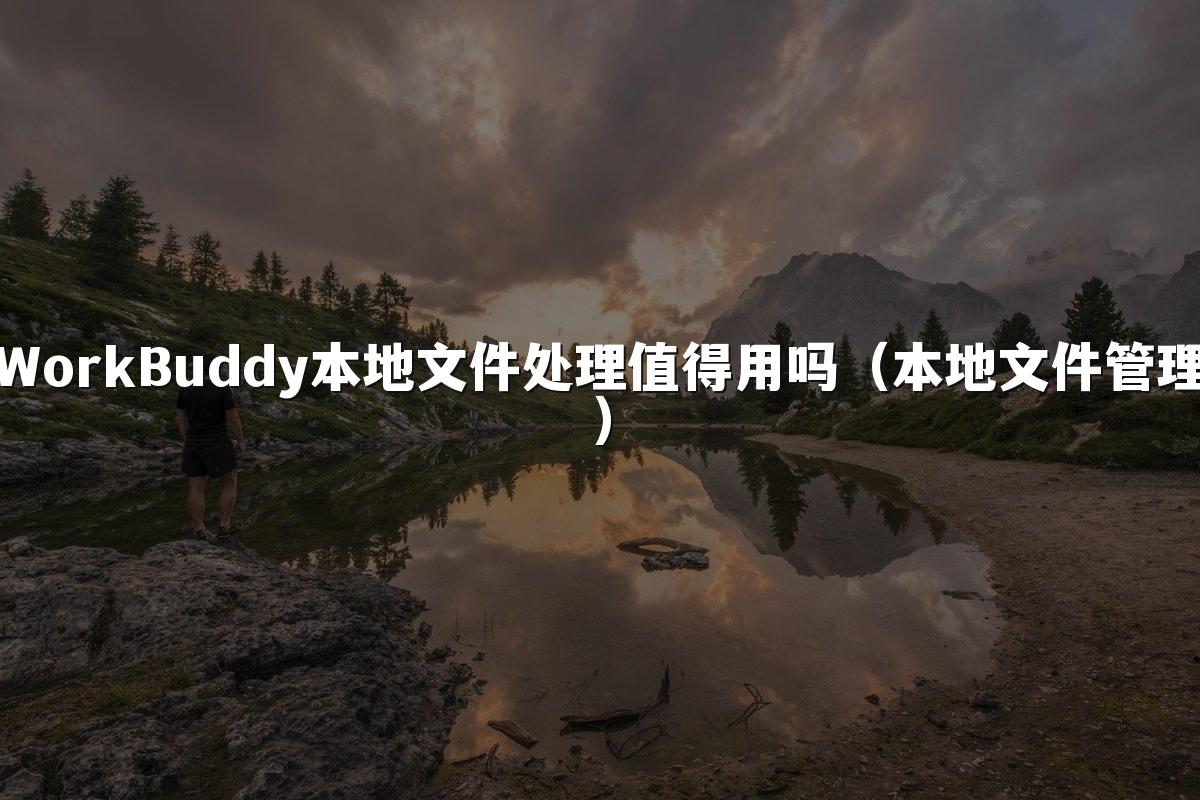 WorkBuddy本地文件处理值得用吗(本地文件管理)