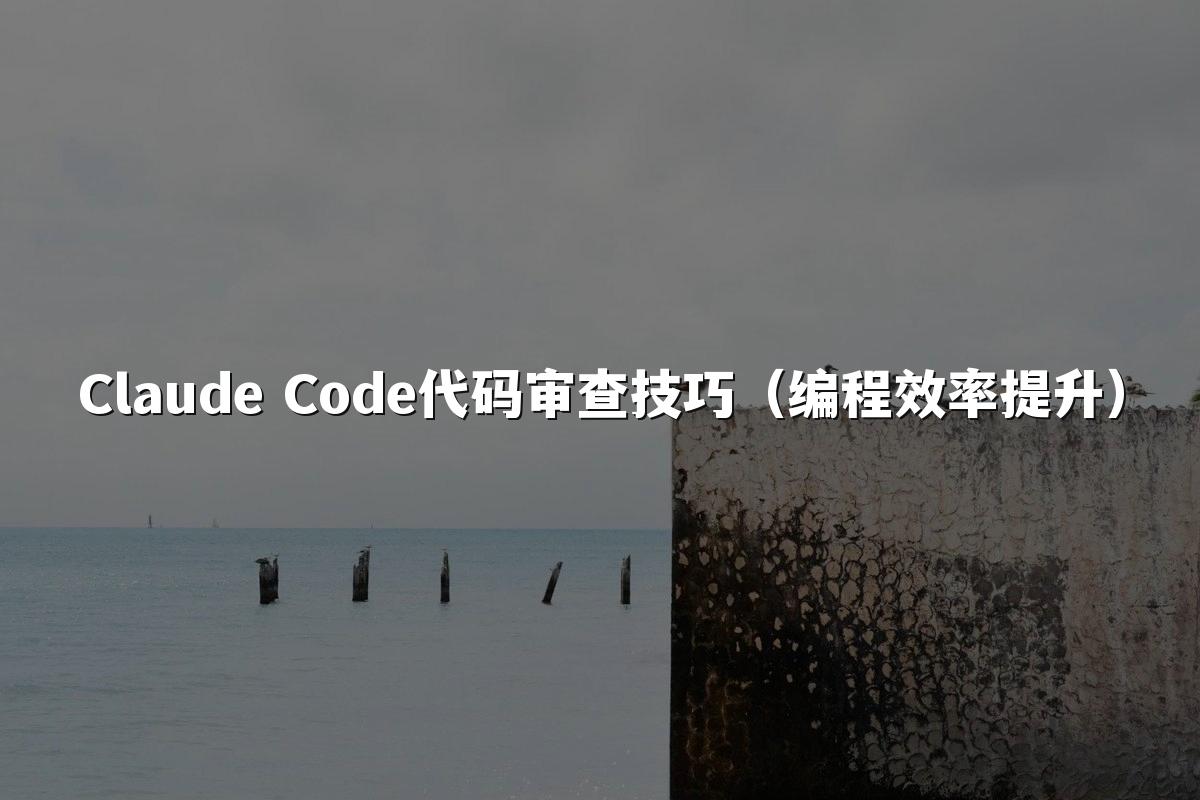 Claude Code代码审查技巧（编程效率提升）