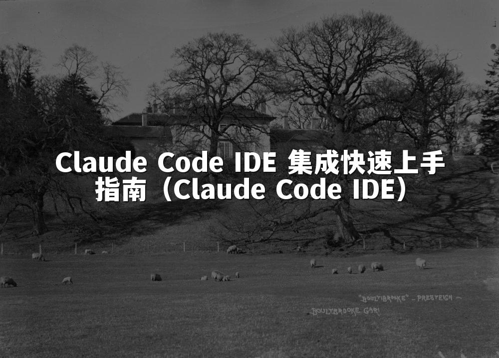 Claude Code IDE 集成快速上手指南(Claude Code IDE)