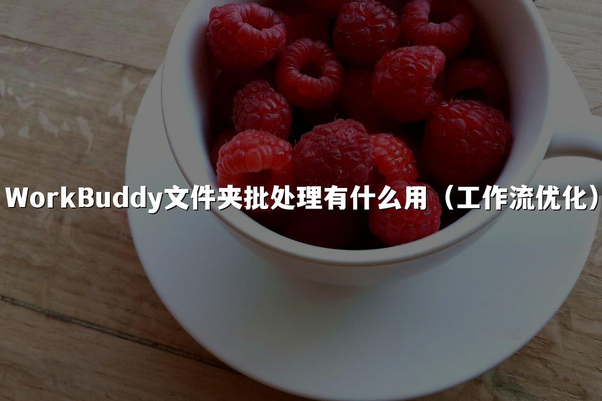 WorkBuddy文件夹批处理有什么用（工作流优化）