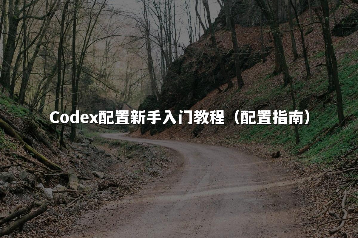 Codex配置新手入门教程（配置指南）