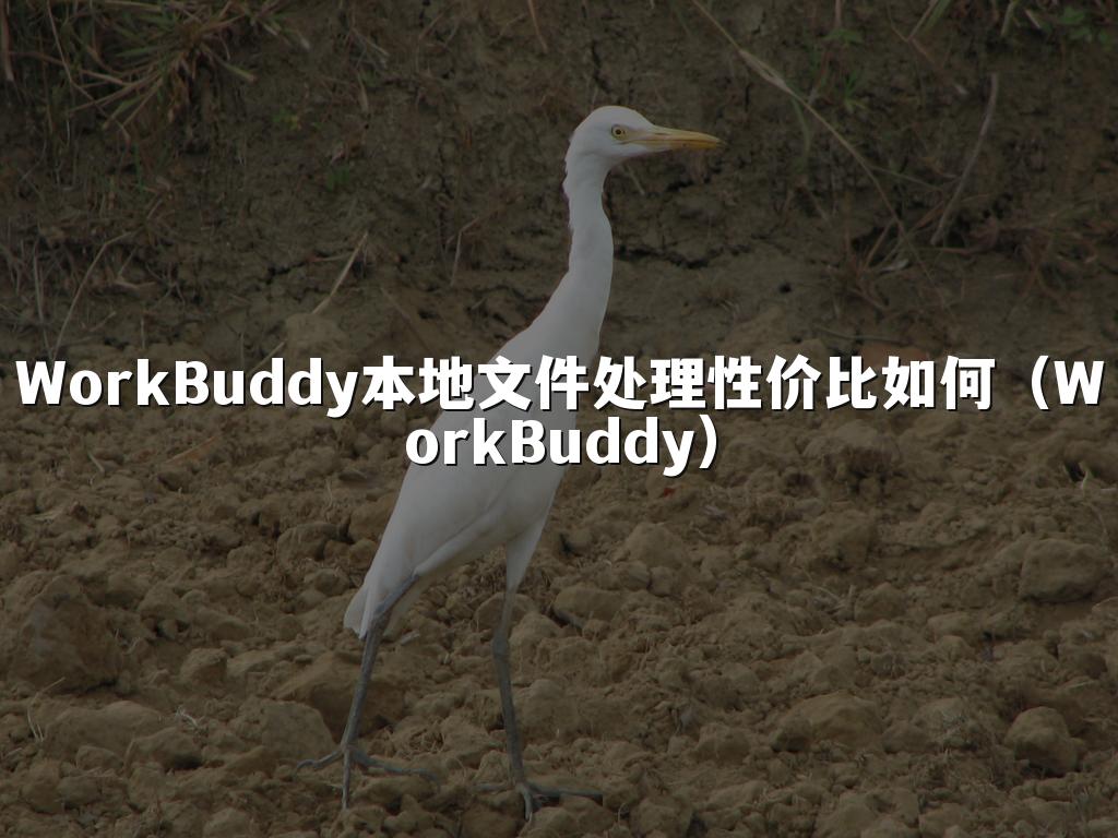 WorkBuddy本地文件处理性价比如何(WorkBuddy)