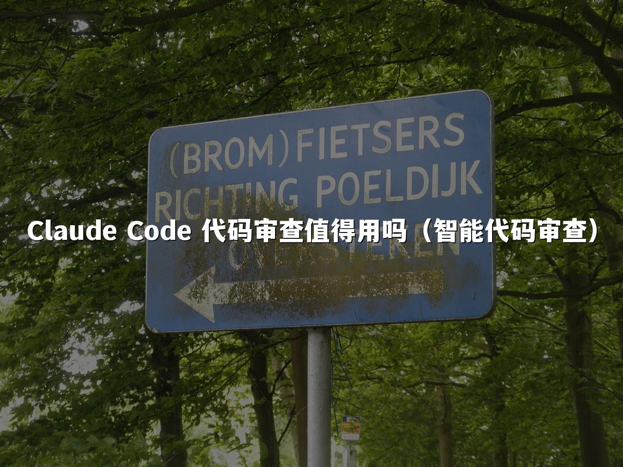 Claude Code 代码审查值得用吗（智能代码审查）