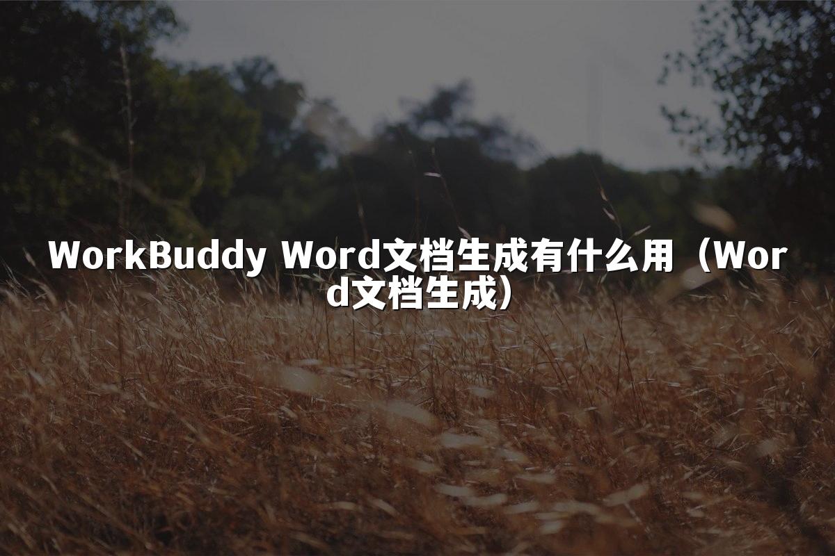 WorkBuddy Word文档生成有什么用(Word文档生成)
