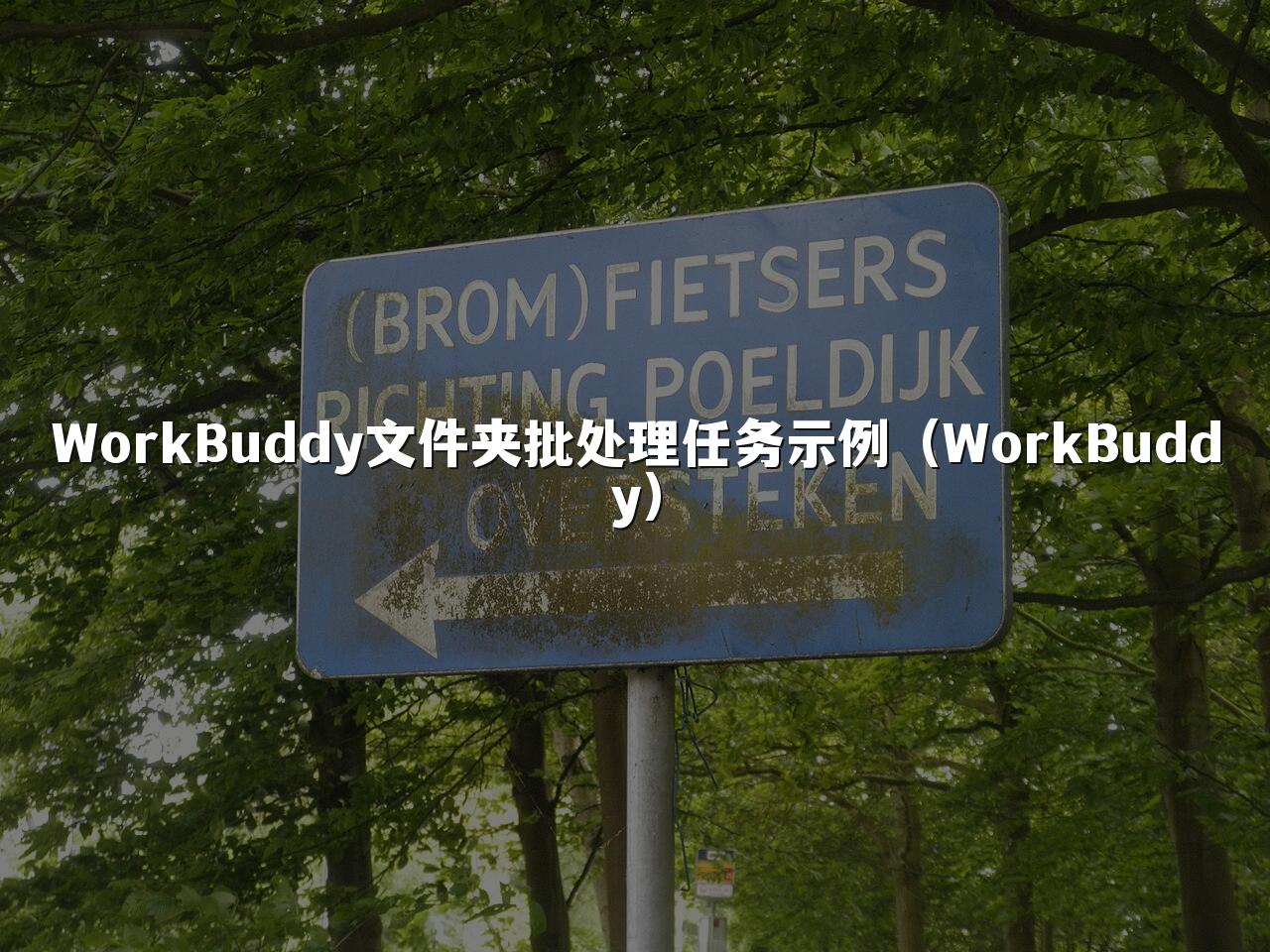 WorkBuddy文件夹批处理任务示例(WorkBuddy)