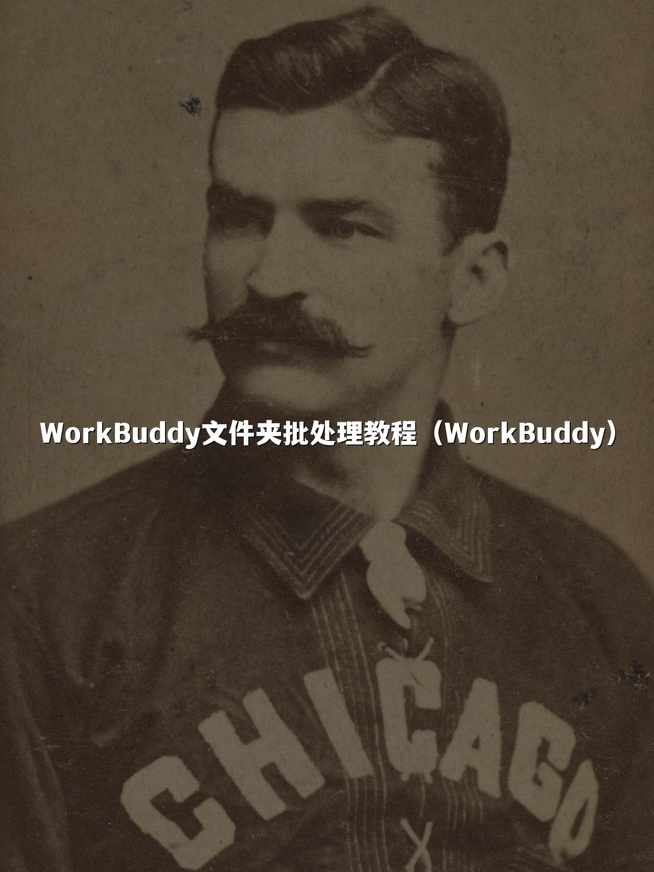 WorkBuddy文件夹批处理教程(WorkBuddy)