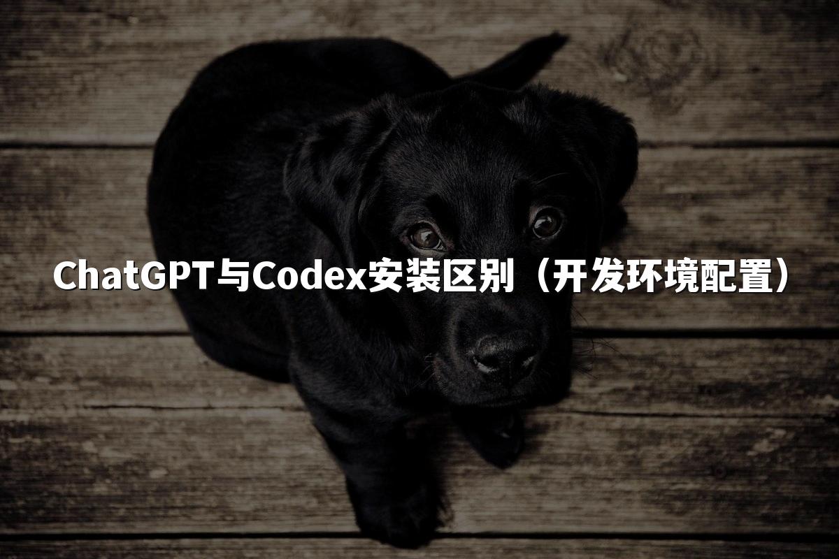 ChatGPT与Codex安装区别（开发环境配置）