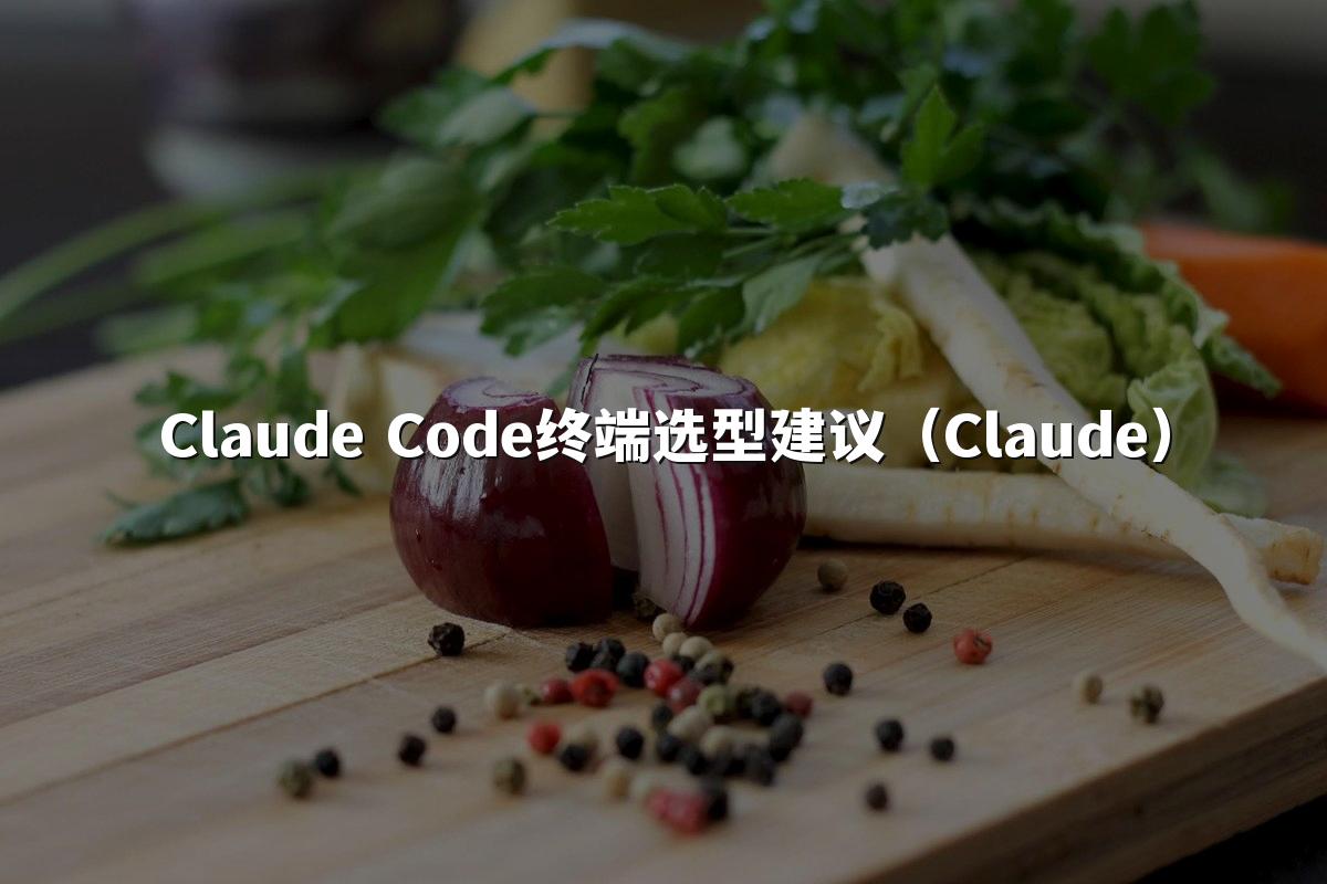 Claude Code终端选型建议（Claude）