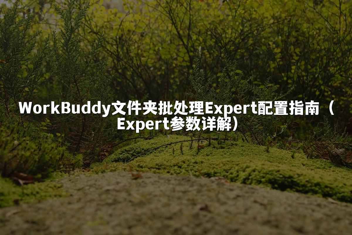 WorkBuddy文件夹批处理Expert配置指南（Expert参数详解）