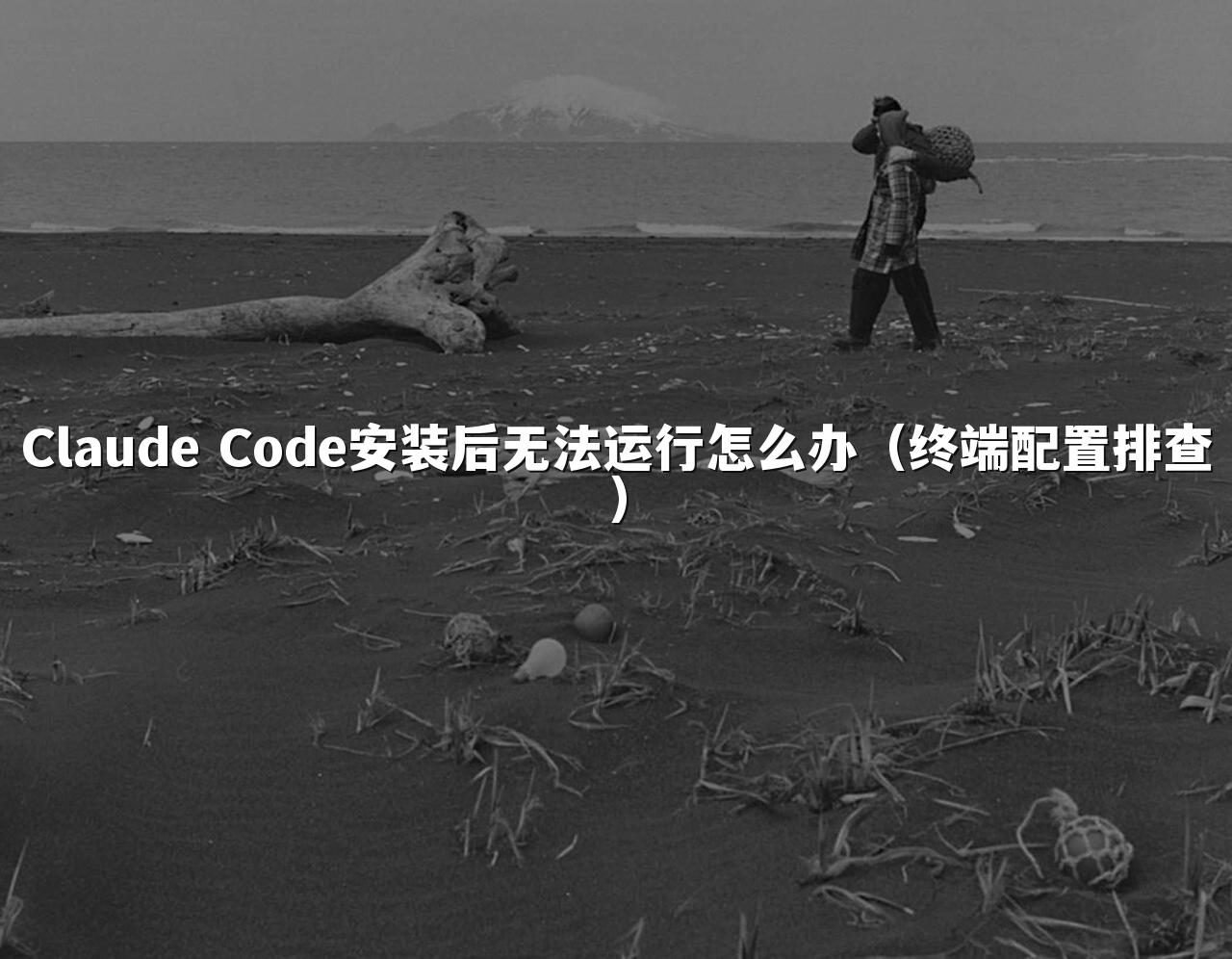 Claude Code安装后无法运行怎么办（终端配置排查）