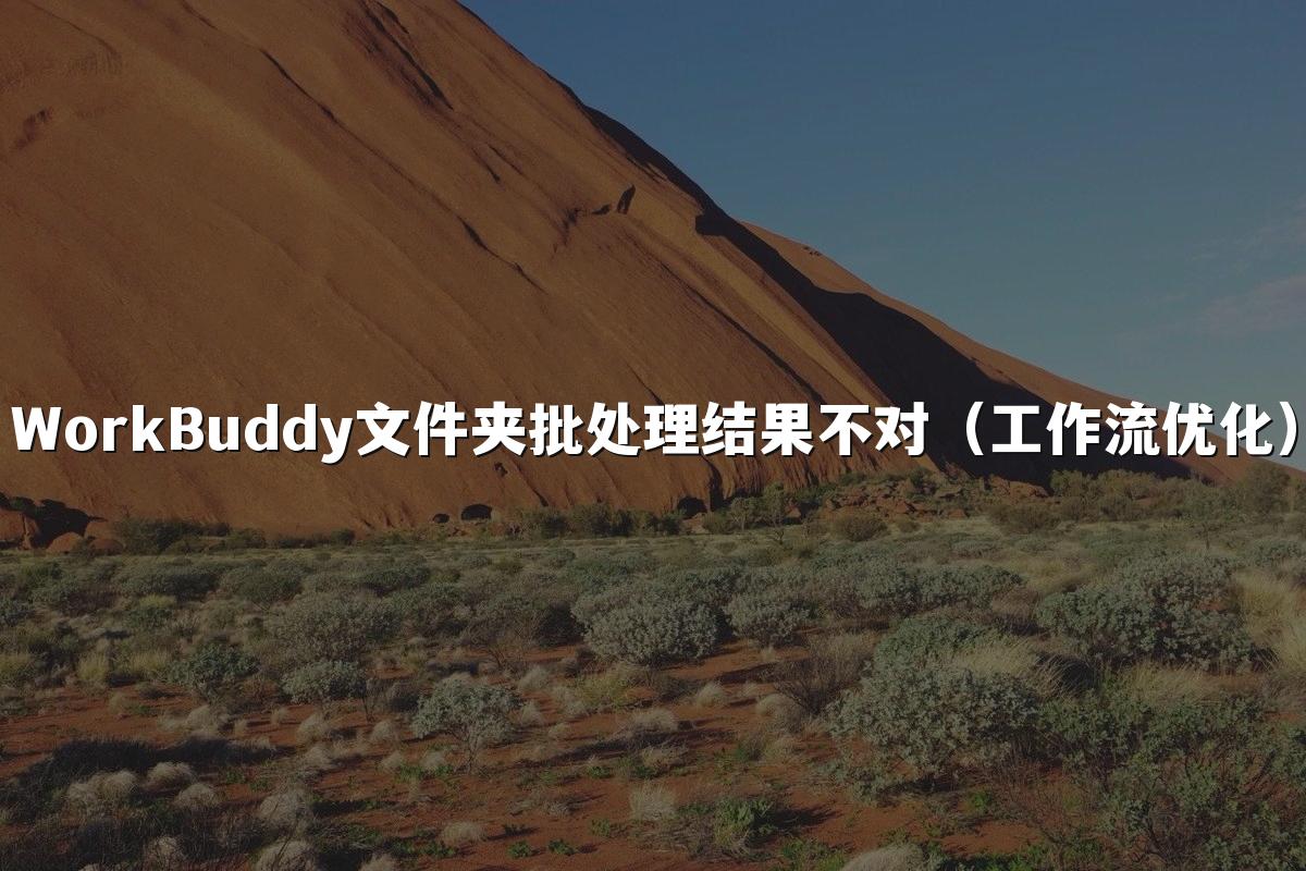 WorkBuddy文件夹批处理结果不对（工作流优化）