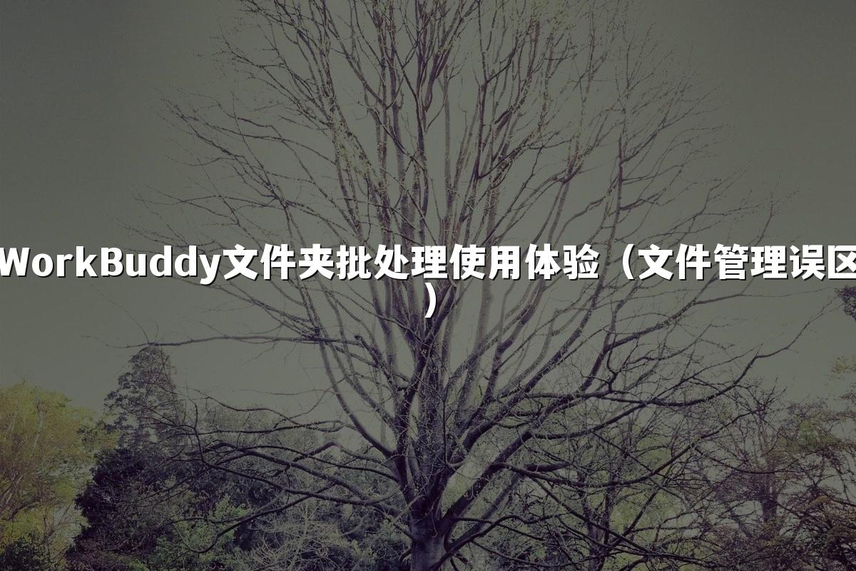 WorkBuddy文件夹批处理使用体验（文件管理误区）