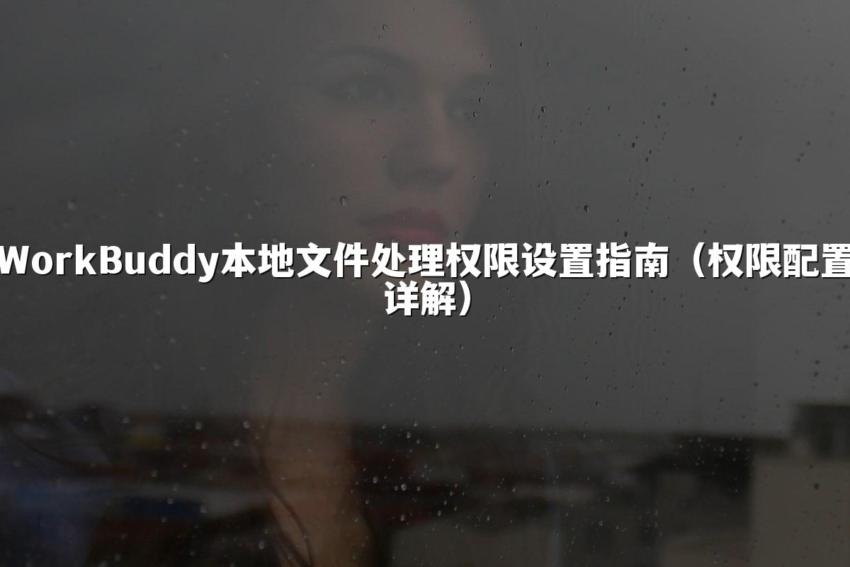 WorkBuddy本地文件处理权限设置指南(权限配置详解)